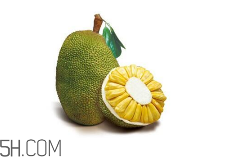 為什么吃菠蘿蜜拉肚子？吃菠蘿蜜拉肚子怎么辦？