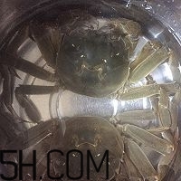 冬天可以吃大閘蟹嗎？冬天怎么吃大閘蟹？