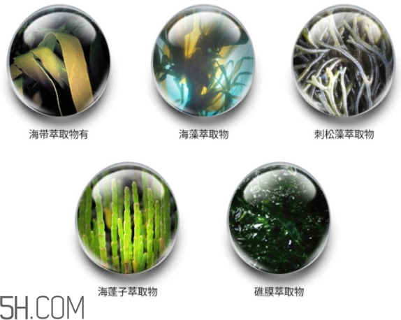 jmsolution珍珠面膜怎么用？jm珍珠珍珠面膜分為三部曲