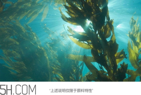 jmsolution珍珠面膜多少錢(qián)？jm珍珠面膜好用不過(guò)百元