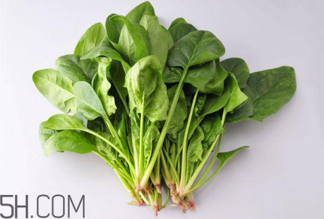 羊肉和菠菜能一起吃嗎？吃羊肉能吃菠菜嗎？