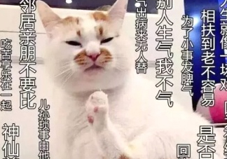 佛系妝是什么妝？佛系妝容輕松打造