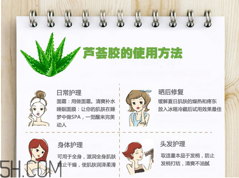 蘆薈膠的功效和作用有哪些？教你蘆薈膠的正確使用方法