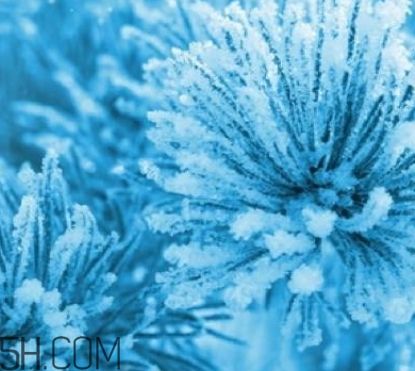 自然堂雪松精油怎么樣？雪松御齡綻放年輕光彩