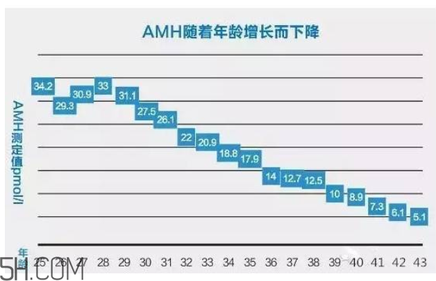 AMH檢查是什么？快速檢測卵巢是否適合懷孕
