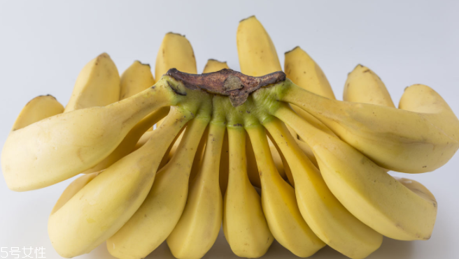 猴子為什么愛吃香蕉？熱量高營(yíng)養(yǎng)多令人高興