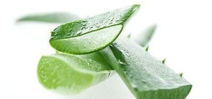 嘴唇干裂能用蘆薈膠嗎？鼻子脫皮也可以用蘆薈膠