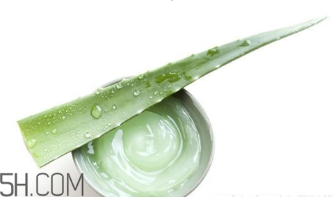 蘆薈膠吃了會(huì)怎樣？蘆薈膠的吃法