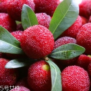 新鮮楊梅如何做酸梅湯？楊梅湯兩做法