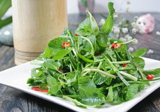 哪些中草藥可以當(dāng)菜吃？最常見的是這三種