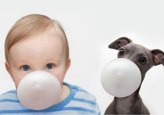 口香糖吃進(jìn)肚子里怎么辦？會(huì)隨排泄物一起排出體外