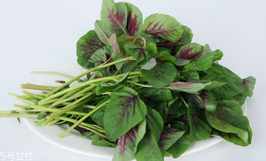 吃莧菜可以減肥嗎？減肥食物熱量排行榜