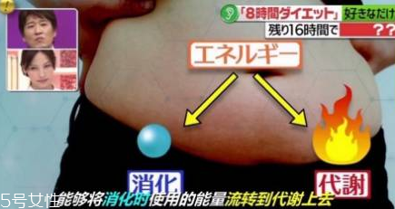 青汁一天喝幾袋最減肥？日本瘋傳的減肥飲食大法