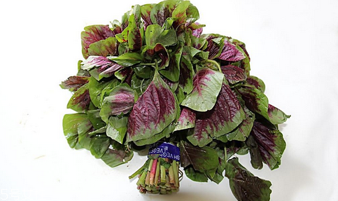 吃莧菜可以減肥嗎？減肥食物熱量排行榜