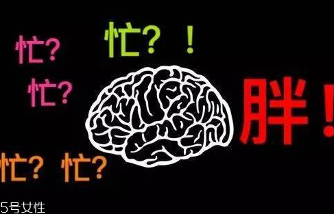 久坐不動(dòng)上班族如何減肥？越努力工作的人越容易發(fā)胖