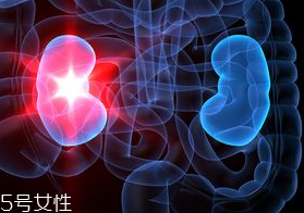 腎病為什么會(huì)發(fā)展到尿毒癥？這些因素一定要注意