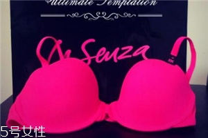 la senza是什么牌子？來自加拿大的頂尖內(nèi)衣