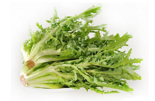 苦菊小孩能吃嗎？小孩吃苦菊促進(jìn)腦部發(fā)育