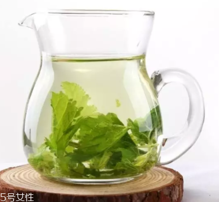 桑葉茶哪些人不能喝？過多飲用傷脾胃傷腎