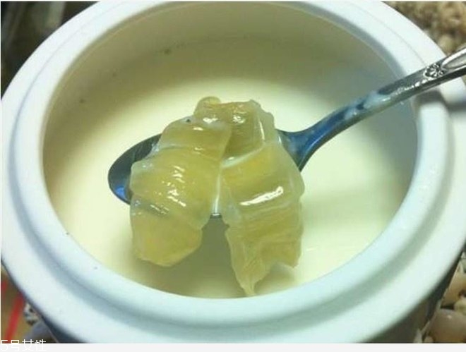 花膠燉牛奶的功效與作用？保養(yǎng)皮膚效果好