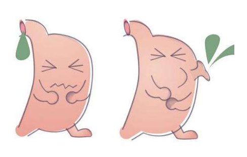 嘔酸水怎么辦？多補充堿性食物
