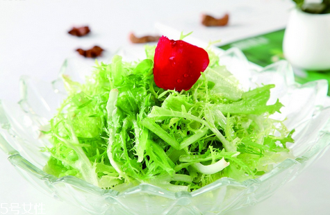 苦菊可以生吃嗎？營養(yǎng)健康苦菊菜做法