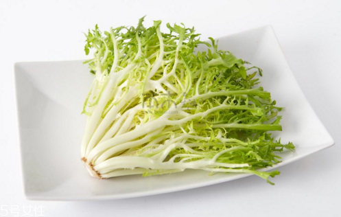 苦菊能減肥嗎？苦菊的各式做法