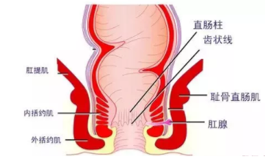 肛瘺非手術(shù)治療才可以嗎？手術(shù)是治療的關(guān)鍵途徑