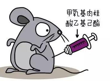 自然堂隔離霜孕婦可以用嗎？含有孕婦禁用成分