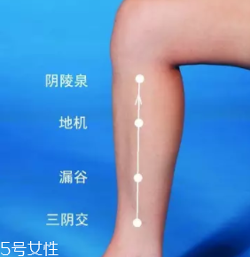 濕疹怎么治才管用？內外同治是關鍵