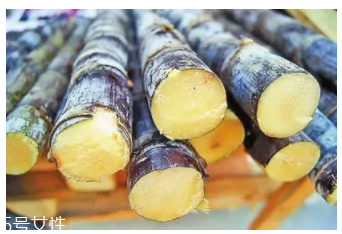 甘蔗的吃法有什么不同？吃法不同療效不同
