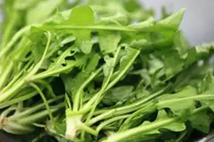經常用眼吃什么？多吃綠色和黃色食物