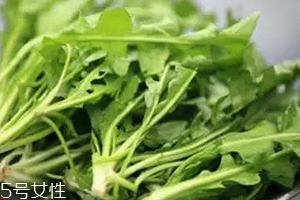 經(jīng)常用眼吃什么？多吃綠色和黃色食物
