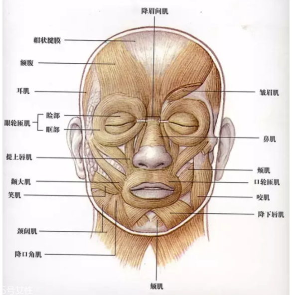 法令紋怎么去除？最有效的方法是醫(yī)美