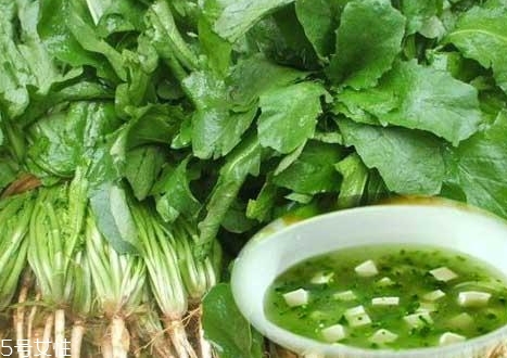 薺菜能和木耳一起吃嗎？一起吃好處多多