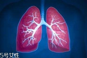 肺漏氣是什么?。糠闻萜屏岩饸庑?><p><strong>肺漏氣是什么?。糠闻萜屏岩饸庑?/strong></p></a></li> <li><a href=