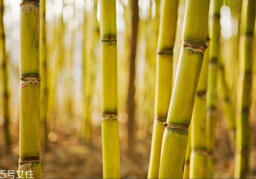 甘蔗熬水可以止咳嗎？來(lái)看看做法
