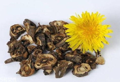 蒲公英泡水會回奶嗎？你應(yīng)該選擇這些食物