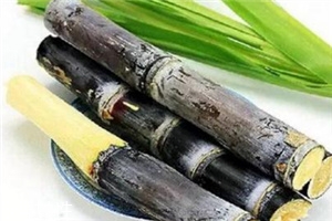 冬季吃甘蔗有什么好處？它被稱為冬季人參