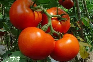 空腹不能吃什么？這4種最好不要吃