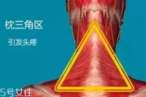 人體黃金三角區(qū)有哪些？養(yǎng)好了百病不擾