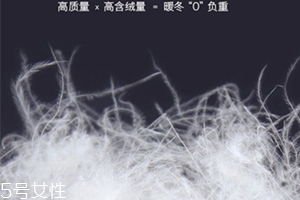 lets diet羽絨褲多少錢？lets diet羽絨褲保暖又修身