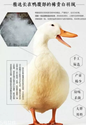 lets diet羽絨褲多少錢？lets diet羽絨褲保暖又修身