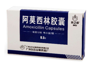 阿莫西林可以和牛奶一起吃嗎？牛奶和阿莫西林不沖突