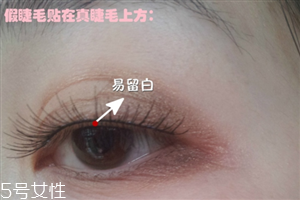 假睫毛是貼在上面還是下面？貼假睫毛的常見錯誤