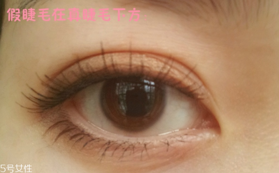 假睫毛是一次性的嗎？假睫毛可以重復(fù)使用