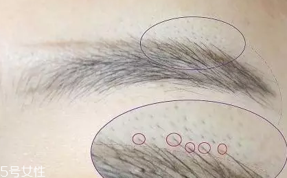 自然不做作的毛流眉怎么畫(huà)？紋理清晰有弧度