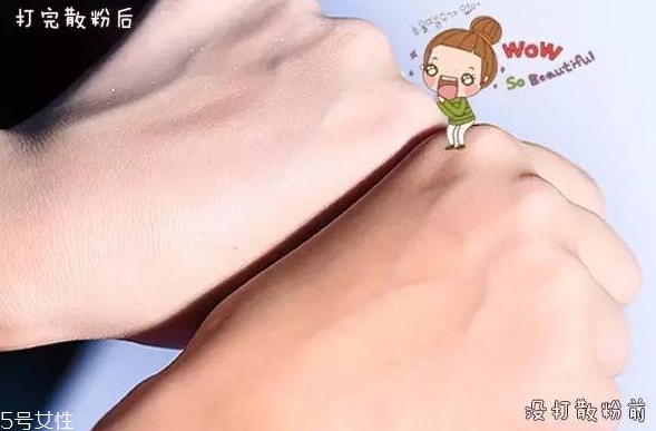 紀(jì)梵希散粉和悅詩(shī)風(fēng)吟散粉哪個(gè)好？