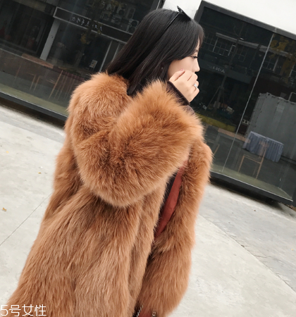 皮草和貂哪個貴？它們的價值你清楚嗎
