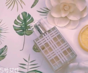 女士香水什么味道好？這6款香水親切又高級